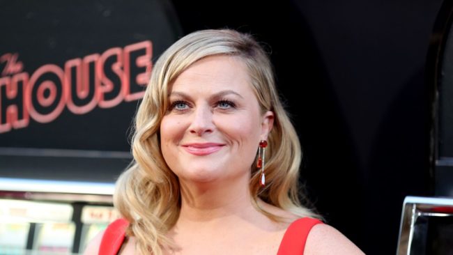 Amy Poehler