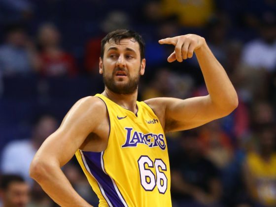Andrew Bogut