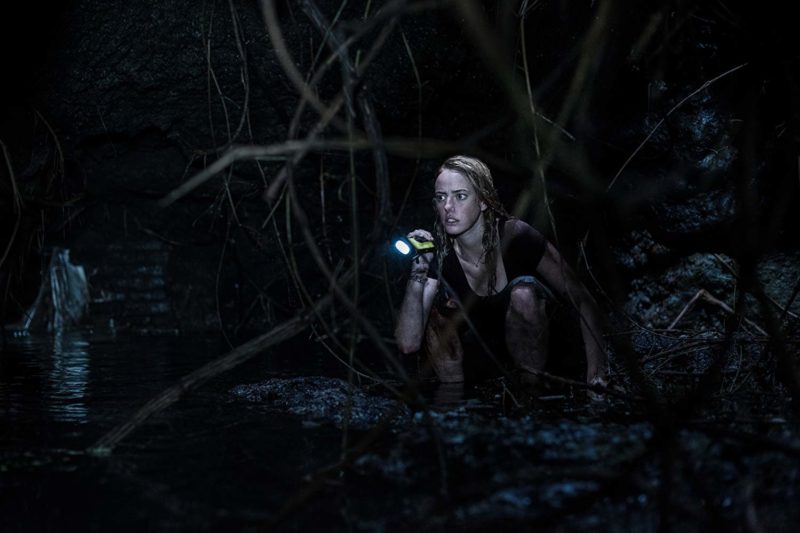 Crawl