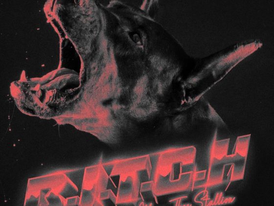 Megan Thee Stallion Bitch