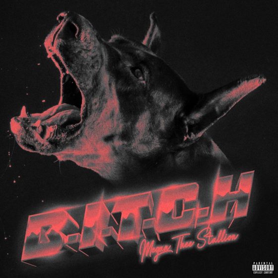 Megan Thee Stallion Bitch