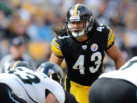 Troy Polamalu