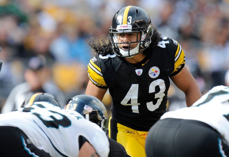 Troy Polamalu