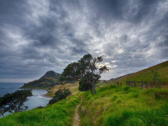 New Zealand