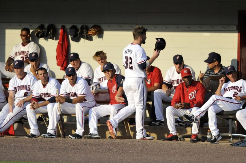 Minor Leagyue Baseball