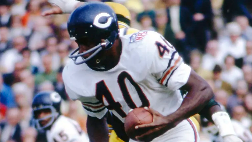 Gale Sayers Chicago Bears Running Back 2510 NFL Football 8x10-48x36 CHOICES