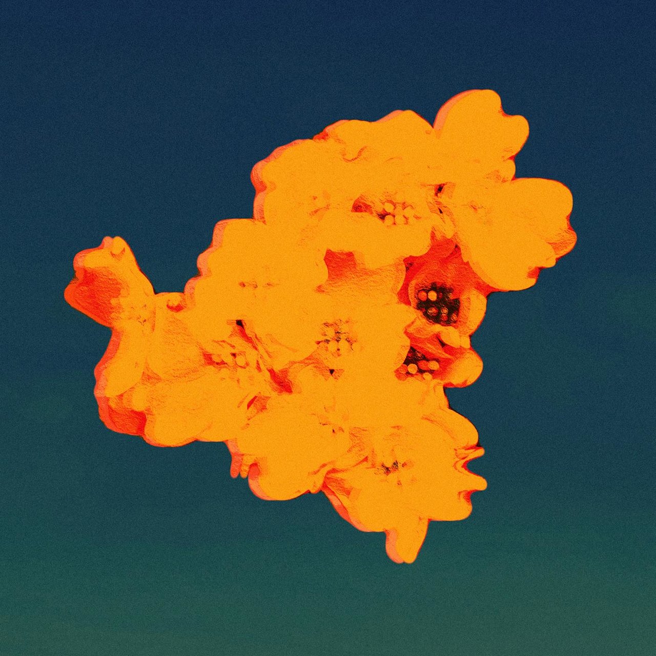 Album Stream: Drauve - Self Learning - Vimarsana News