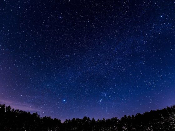 Stars