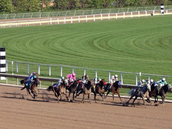 Horse Track