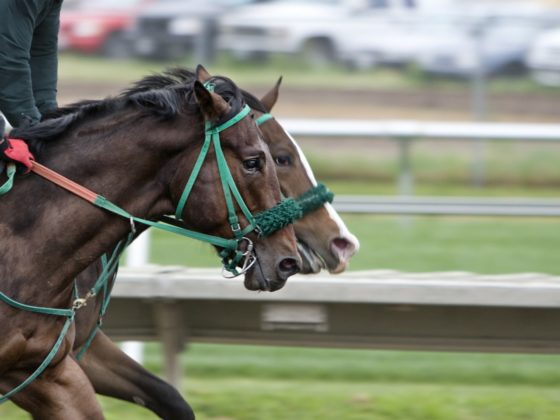 Horse Race Track