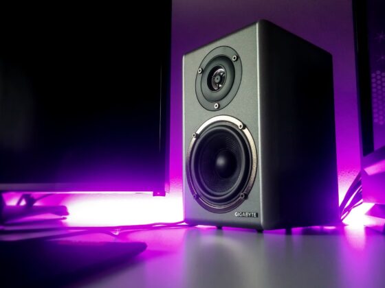 Speaker