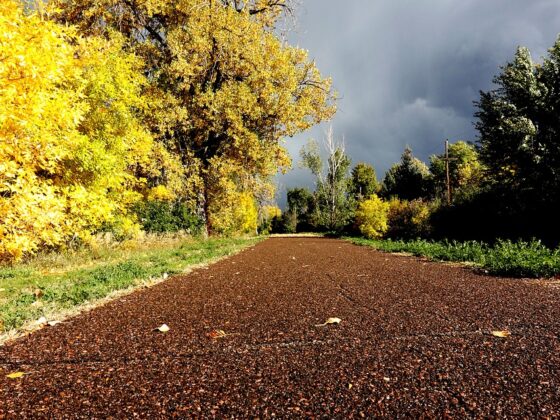 Running Trail