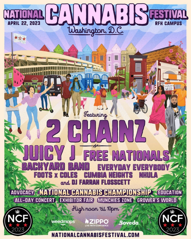 National Cannabis Festival musical performance in the year national cannabis festival lineup