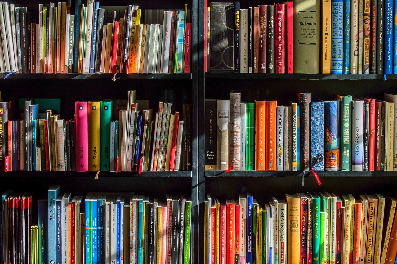 Top Book Recommendations For Gamers and Fantasy Lovers - Vimarsana News